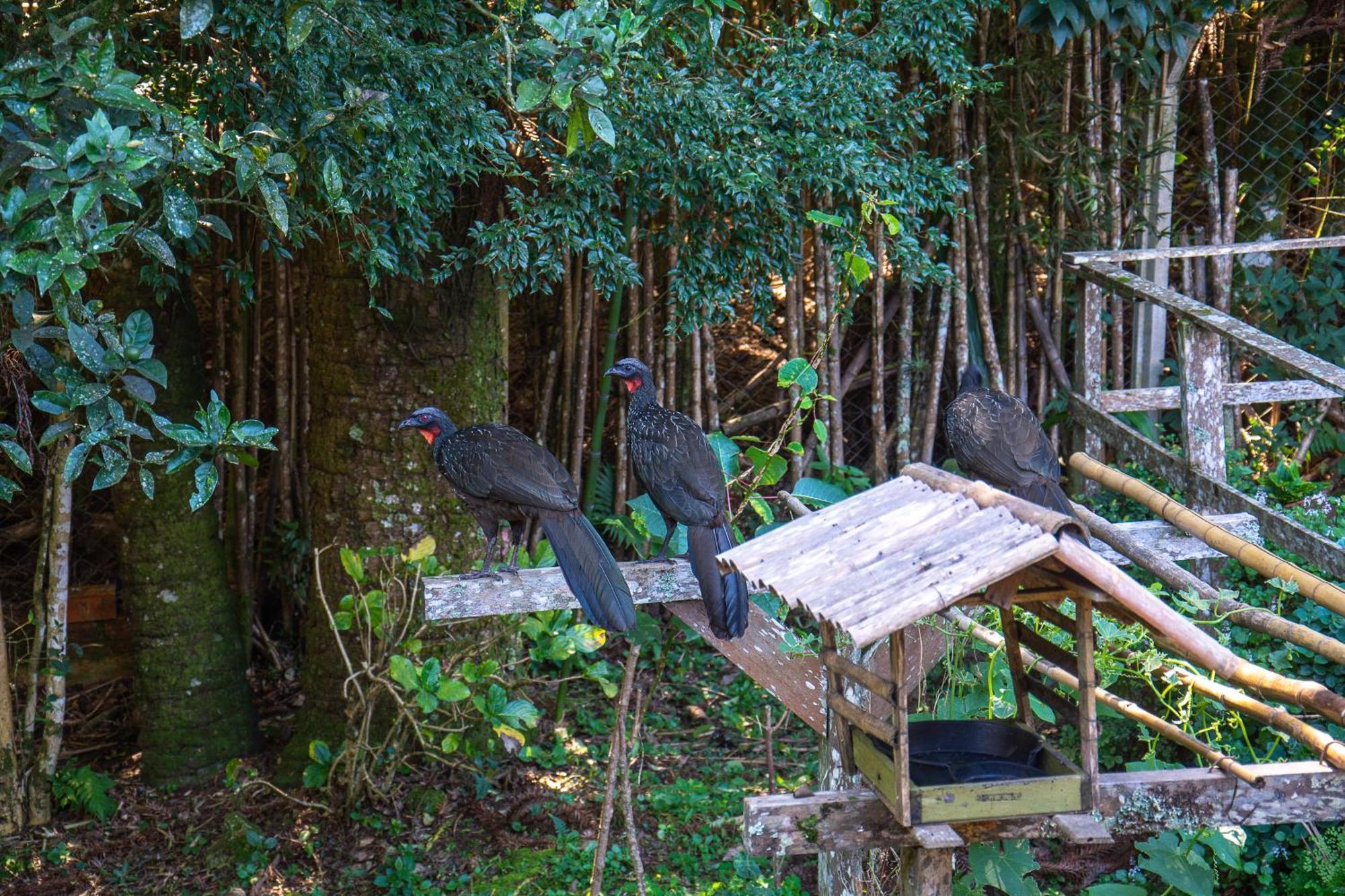 Holiday home Refugio Na Natureza Casa Do Tecelao Curitiba